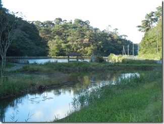 DSCN1295 DSCN1295